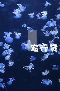 农行贷款 逾期一天 农行贷款 逾期一天